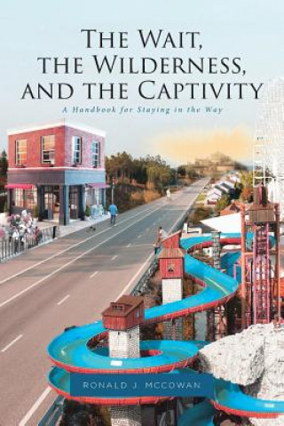 Knjiga Wait, the Wilderness, and the Captivity RONALD J. MCCOWAN