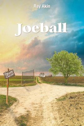 Libro Joeball RAY AKIN