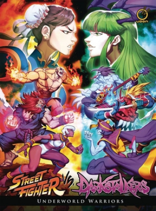 Kniha Street Fighter VS Darkstalkers: Underworld Warriors Ken Siu-Chong