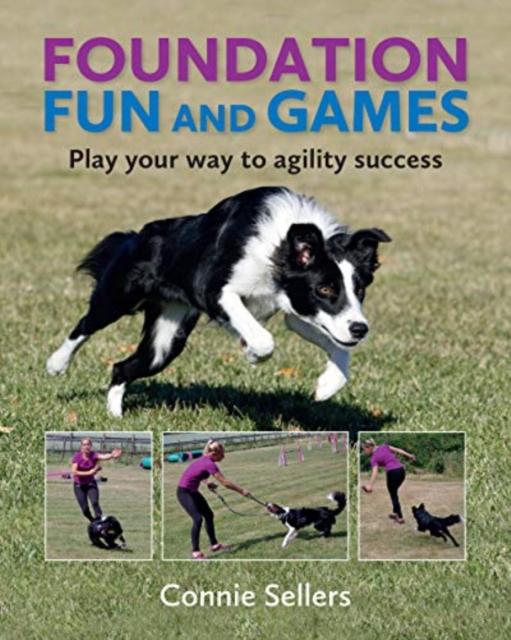 Buch Foundation Fun And Games Connie Sellers