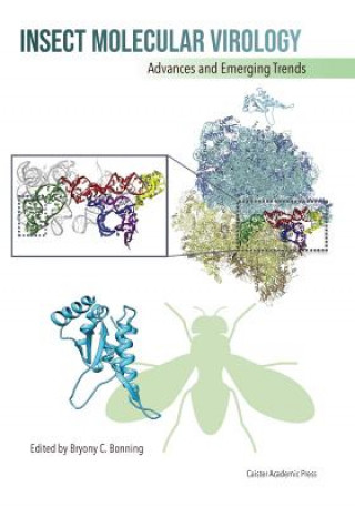 Könyv Insect Molecular Virology Bryony C. Bonning