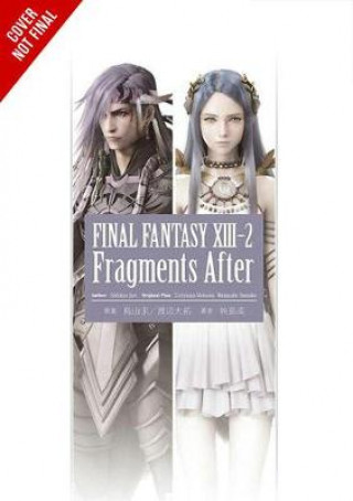 Kniha Final Fantasy XIII-2: Fragments After Jun Eishima