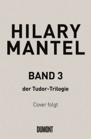Könyv Spiegel und Licht Hilary Mantel