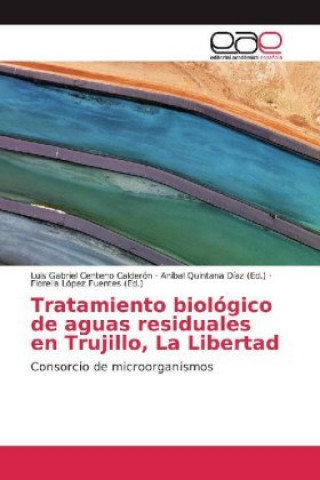 Könyv Tratamiento biológico de aguas residuales en Trujillo, La Libertad Luis Gabriel Centeno Calderón