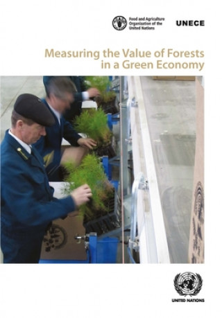 Kniha Measuring the value of forests in a green economy United Nations Economic Commission for Europe