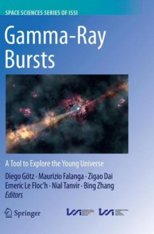 Libro Gamma-Ray Bursts Diego Götz