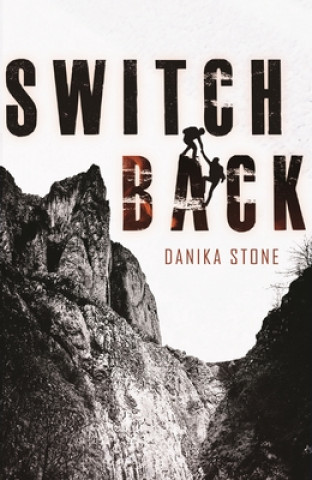 Kniha Switchback Danika Stone