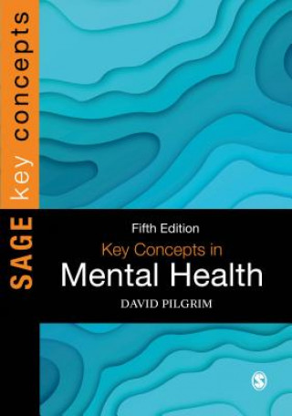 Könyv Key Concepts in Mental Health David Pilgrim
