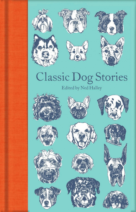 Kniha Classic Dog Stories Various