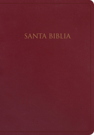Kniha Rvr 1960 Biblia Para Regalos Y Premios, Borgo?a Imitación Piel B&H Espanol Editorial
