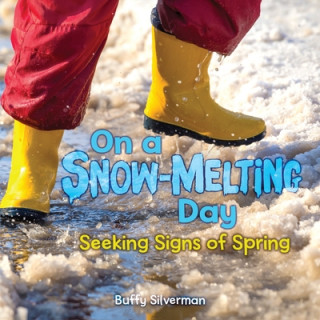 Könyv On a Snow-Melting Day: Seeking Signs of Spring Buffy Silverman