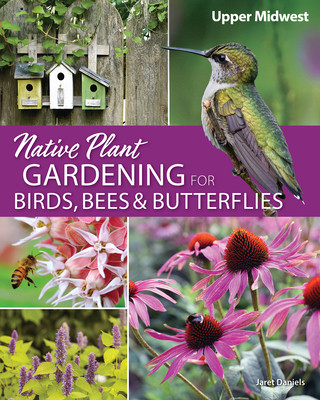 Buch Native Plant Gardening for Birds, Bees & Butterflies: Upper Midwest Jaret C. Daniels