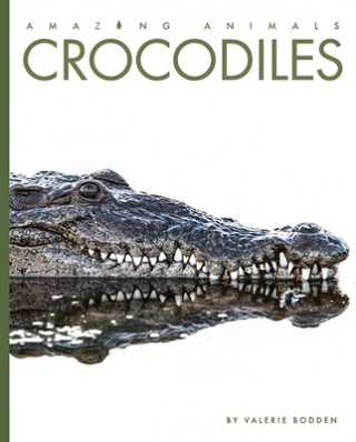 Könyv Crocodiles Valerie Bodden