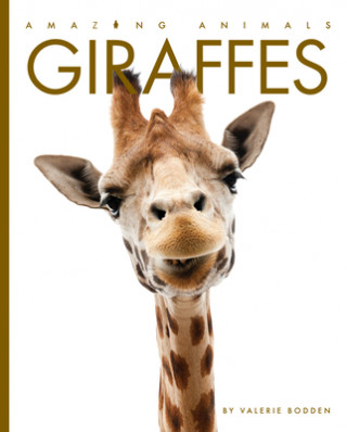 Kniha Giraffes Valerie Bodden
