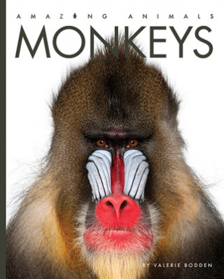 Knjiga Monkeys Valerie Bodden