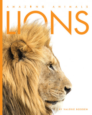Knjiga Lions Valerie Bodden