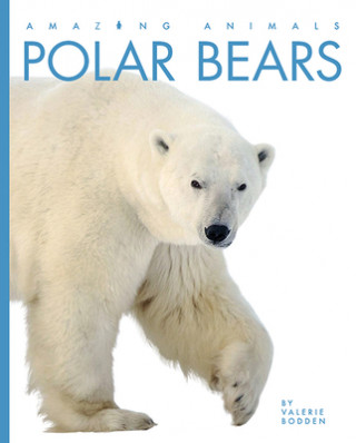 Knjiga Polar Bears Valerie Bodden