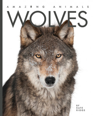 Könyv Wolves Valerie Bodden