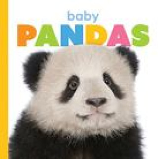 Carte Baby Pandas Kate Riggs