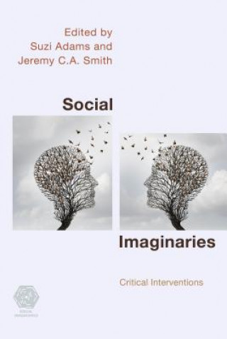 Livre Social Imaginaries Suzi Adams