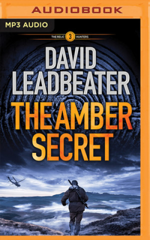 Digital The Amber Secret David Leadbeater