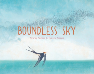 Kniha Boundless Sky Amanda Addison