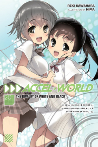 Kniha Accel World, Vol. 20 (light novel) Reki Kawahara