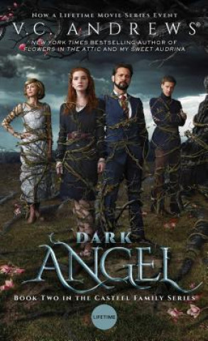 Kniha Dark Angel V. C. Andrews