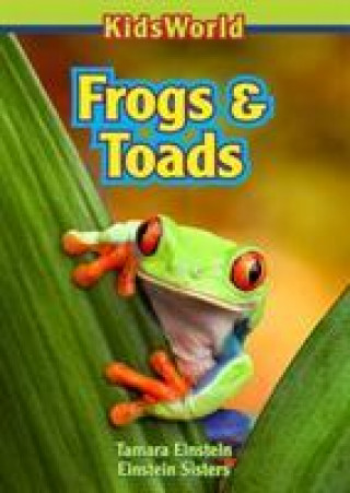 Carte Frogs & Toads Tamara Einstein