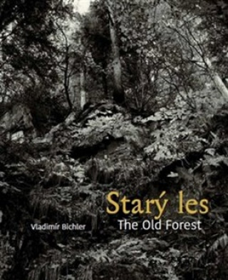 Carte Starý les / The Old Forest Vladimír Bichler