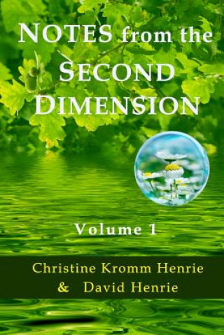 Książka Notes from the Second Dimension Christine Kromm Henrie