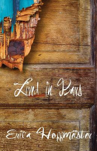 Livro Lived in Bars Erica Hoffmeister