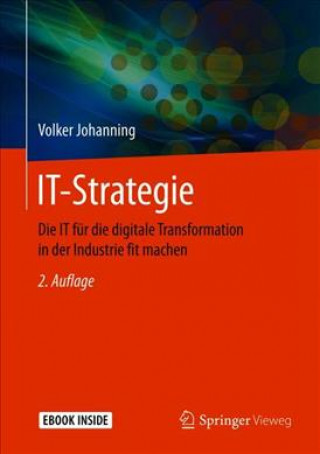 Kniha IT-Strategie Volker Johanning