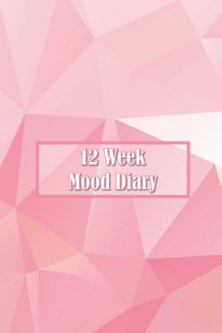 Książka 12 Week Mood Diary: One Page Per Day Artful Journals and Notebooks