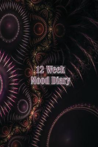 Kniha 12 Week Mood Diary: One Page Per Day Artful Journals and Notebooks