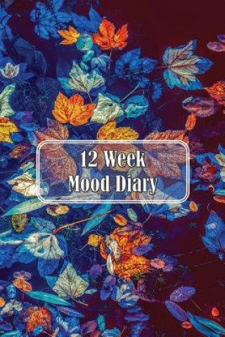 Kniha 12 Week Mood Diary: One Page Per Day Artful Journals and Notebooks