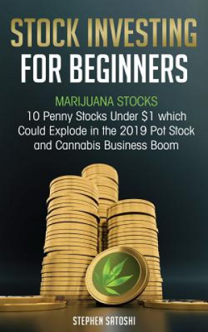 Book Stock Investing for Beginners Stephen Satoshi