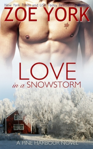 Knjiga Love in a Snowstorm Zoe York