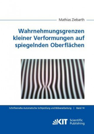 Kniha Wahrnehmungsgrenzen kleiner Verformungen auf spiegelnden Oberflächen Mathias Ziebarth