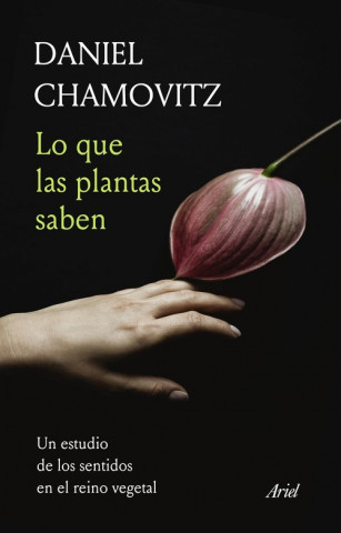 Kniha LO QUE LAS PLANTAS SABEN DANIEL CHAMOVITZ