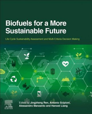 Kniha Biofuels for a More Sustainable Future Jingzheng Ren