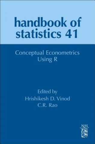 Kniha Conceptual Econometrics Using R C R Rao
