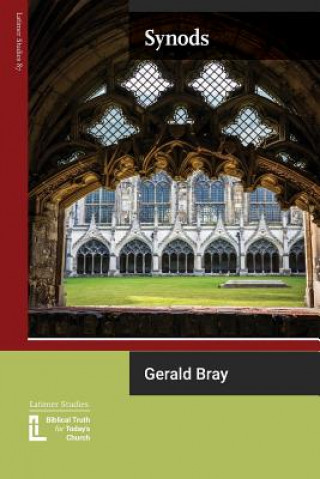 Book Synods Gerald Bray