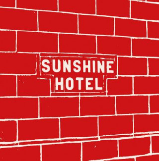 Kniha Mitch Epstein: Sunshine Hotel Mitch Epstein