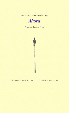 Buch AHORA JOSE ANTONIO ZAMBRANO