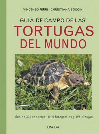 Könyv GUÍA DE CMAPO DE LAS TORTUGAS DEL MUNDO VINCENZO FERRI