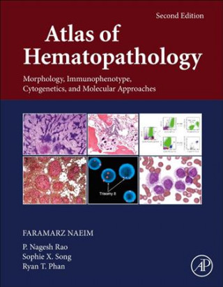 Książka Atlas of Hematopathology FARAMARZ NAEIM