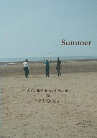 Boek Summer P L QUINN