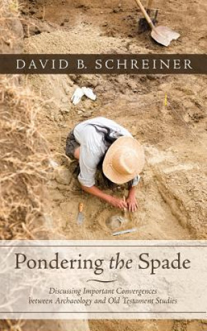 Knjiga Pondering the Spade DAVID B. SCHREINER
