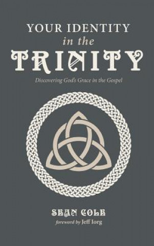 Boek Your Identity in the Trinity SEAN COLE